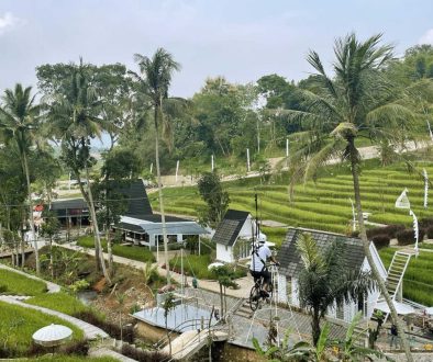 Antapura-de-djati